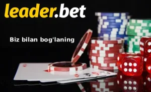 contact-us-liderbet-casino
